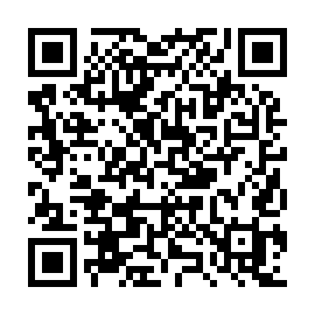 QR code for TZ295I