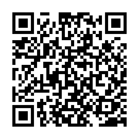 QR code for TZ391X