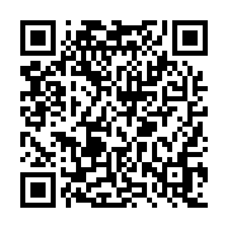 QR code for TZZ11N