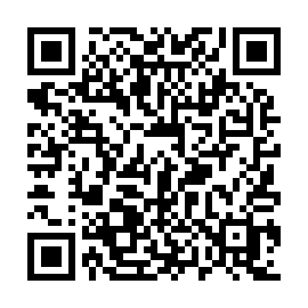 QR code for U0491H