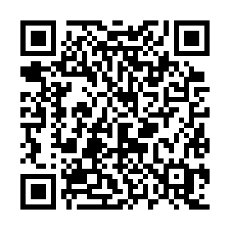 QR code for U063XG