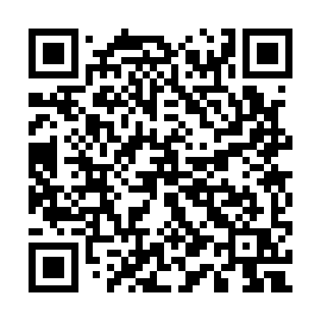QR code for U1319Q
