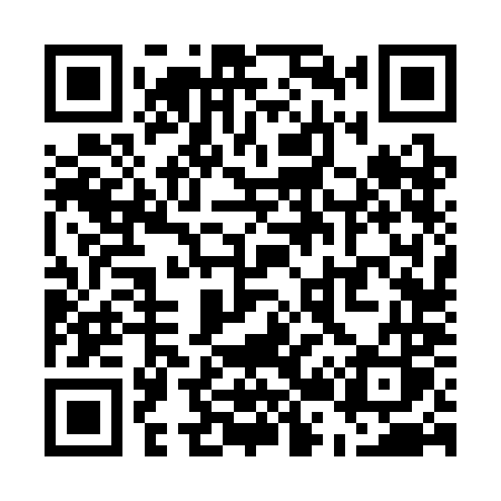 QR code for U263MS