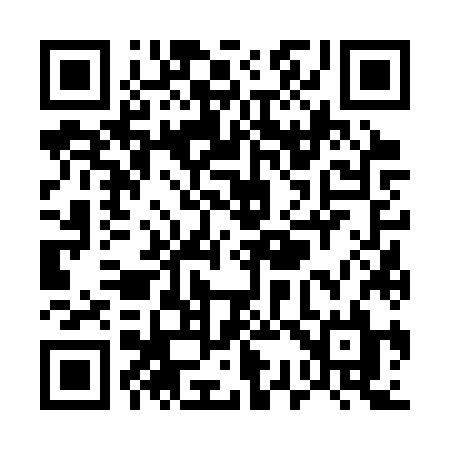 QR code for U363ZL