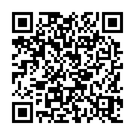 QR code for U3839P