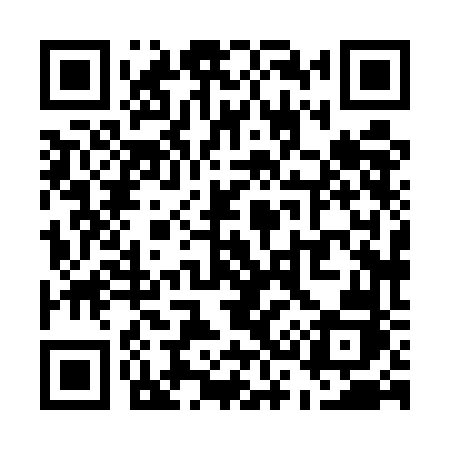 QR code for U385FJ