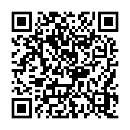 QR code for U3894Z