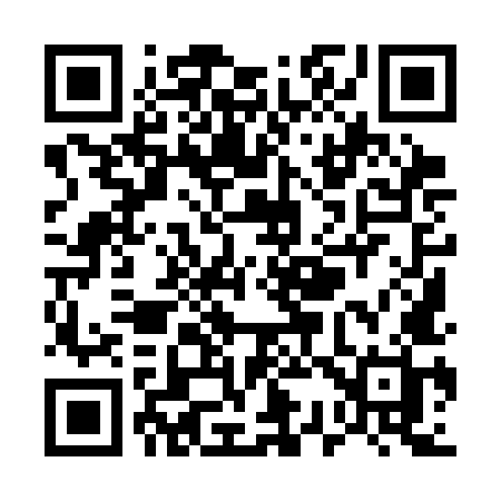 QR code for U393MH
