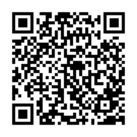 QR code for U398XV