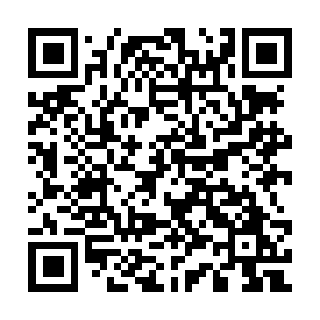 QR code for U39LBO