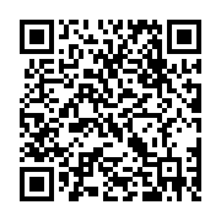 QR code for U411DF