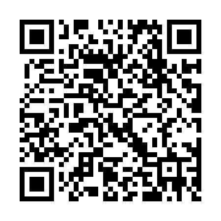 QR code for U419XR