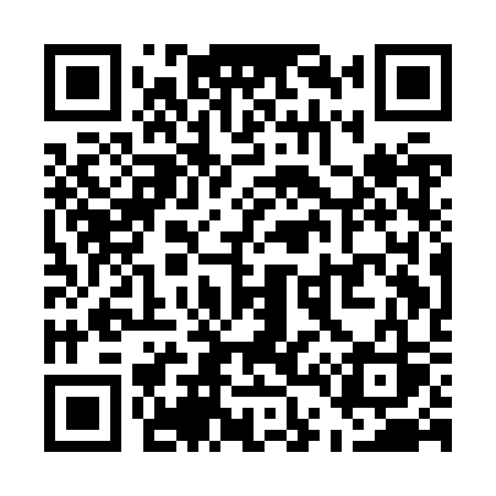 QR code for U41JSS