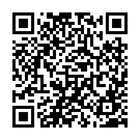 QR code for U463EV