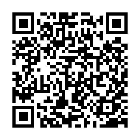 QR code for U595HQ