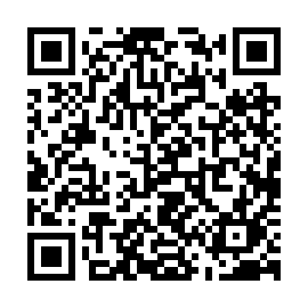 QR code for U602QL