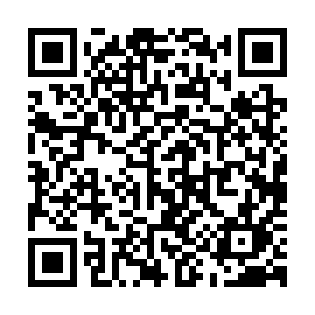 QR code for U903QL