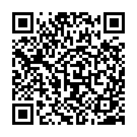 QR code for U919ES