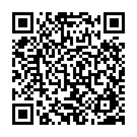 QR code for U938BG