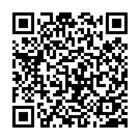 QR code for U9541U