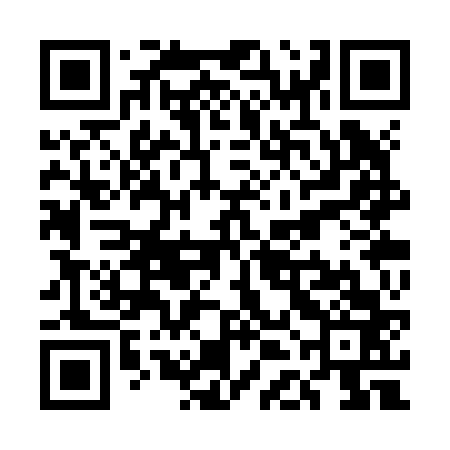 QR code for UDCZ63