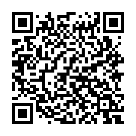 QR code for UL93ZL
