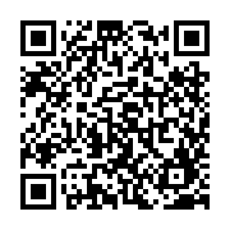QR code for UN93IF