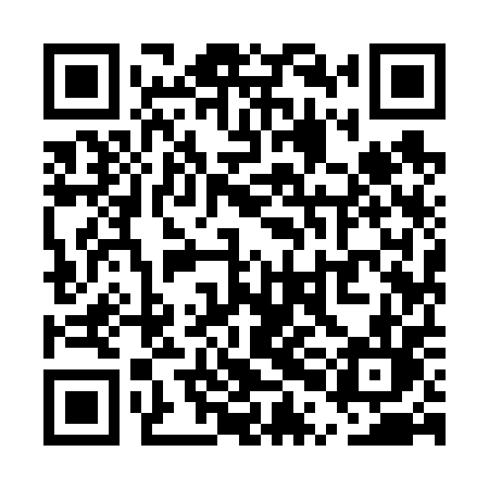 QR code for UPI60L