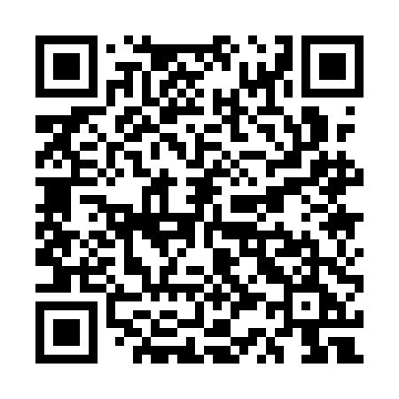 QR code for US11DE