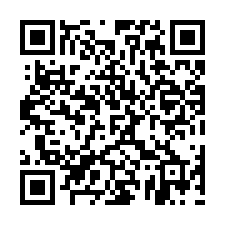 QR code for US82VP