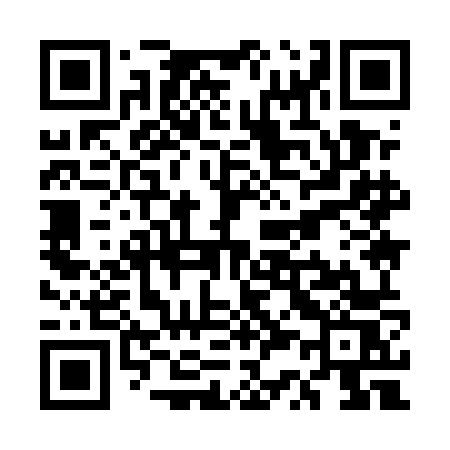 QR code for US95NS