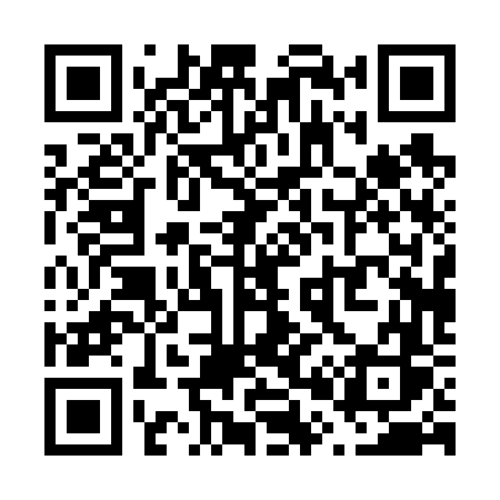 QR code for V0066S
