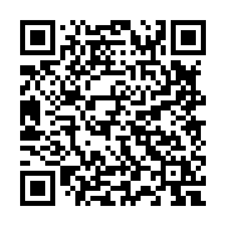 QR code for V0081X