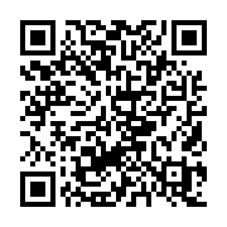 QR code for V0154I