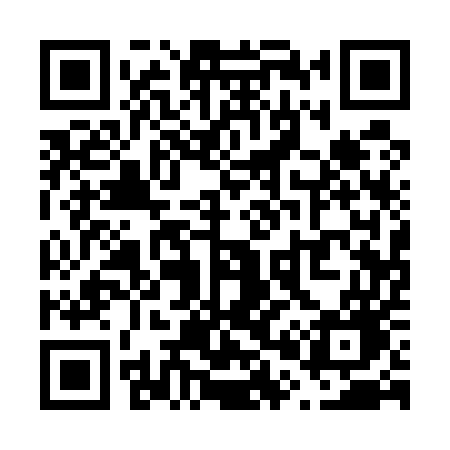 QR code for V0155G