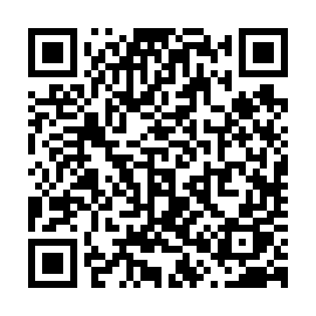 QR code for V0265P
