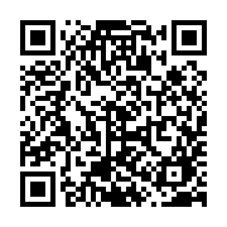 QR code for V0319G
