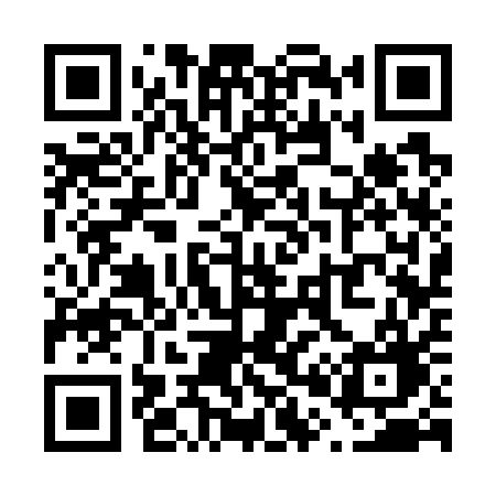 QR code for V0371G