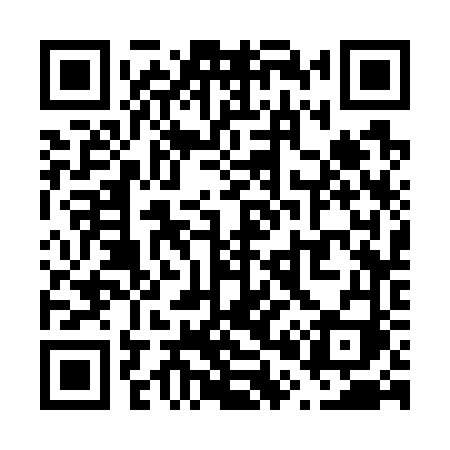 QR code for V0376I