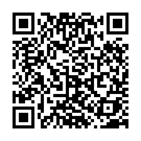 QR code for V038OI