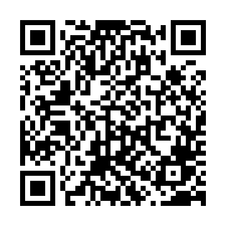 QR code for V0394V