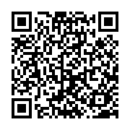 QR code for V0401O