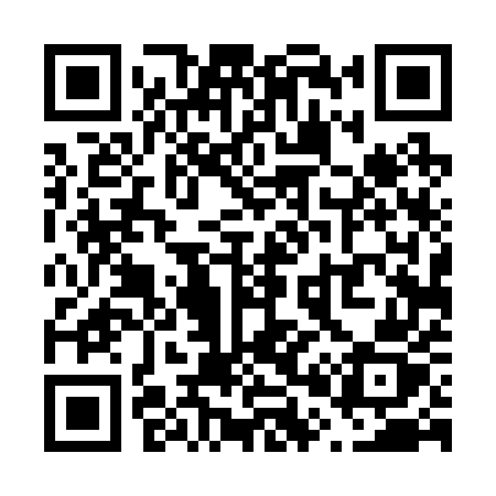 QR code for V0425Z