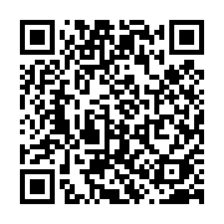 QR code for V0541I