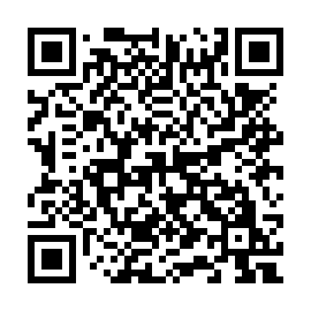 QR code for V11NSO