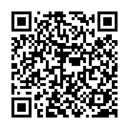 QR code for V1343M
