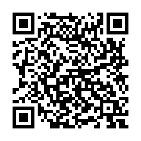 QR code for V1393S