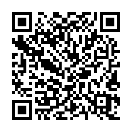 QR code for V1595U