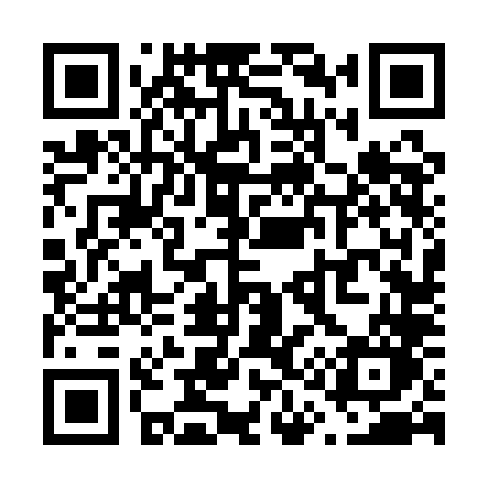 QR code for V161LO
