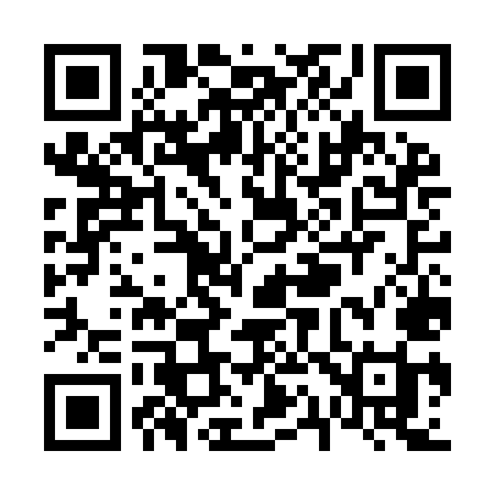QR code for V17IMI